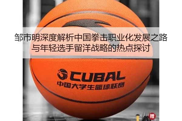 邹市明深度解析中国拳击职业化发展之路与年轻选手留洋战略的热点探讨